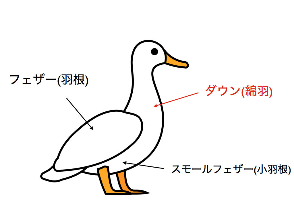 ダウンジャケットの性質