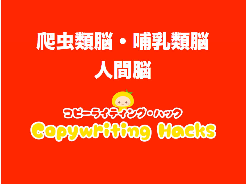 3つの脳 爬虫類脳 哺乳類脳を刺激する方法をてんちむの動画で理解する コピーライティング ハック 初心者のための基礎講座